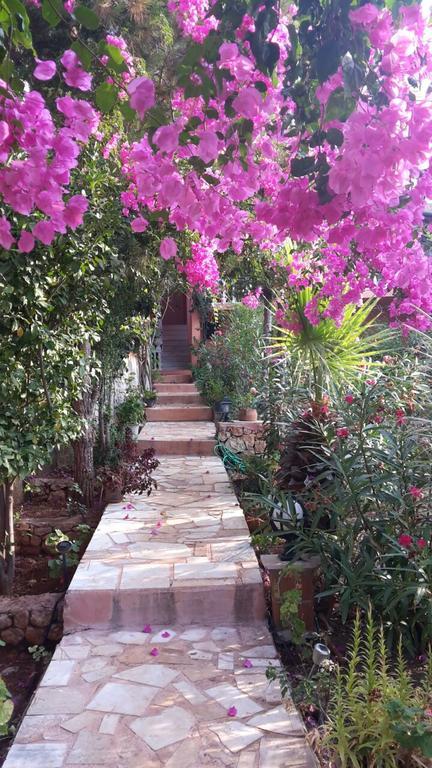 Villa Koknar Pension Kaş Exterior foto